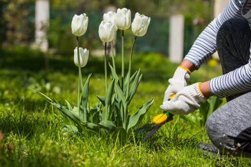 Gardener inspecting a lawn and plants on site