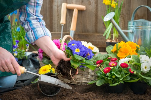In a garden setting, a person wearing a checkered shirt is in the process of planting a flowering plant with vibrant purple petals and a central yellow disc into the dark, cultivated soil. The garden features various colorful flowering plants, including yellow and red blooms, arranged in black nursery pots and a wicker basket, indicating ongoing planting activity. To the right, there is a watering can, and behind it, a bouquet of yellow daffodils in a tall container, suggesting early spring planting. The background includes a wooden fence and gardening tools such as a garden fork, enhancing the outdoor garden environment. The scene is well-lit, with natural daylight, emphasizing the fresh and lively atmosphere typical of garden maintenance and planting tasks in a suburban or urban garden space, indicative of services provided by Gardening Services Norbiton in the KT postcode area near Kingston upon Thames.