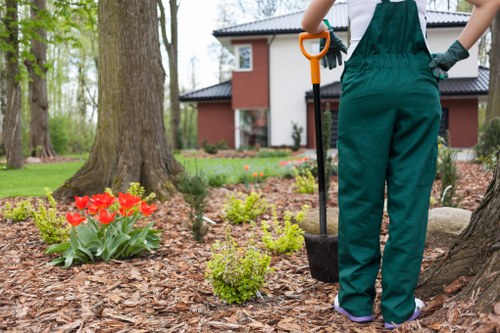 Modern garden design by Norbiton gardening services