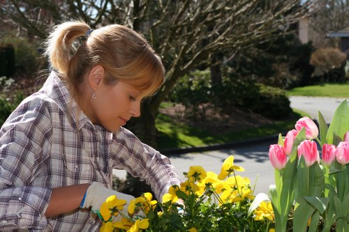 Lush, vibrant garden maintained by Gardening Services Norbiton